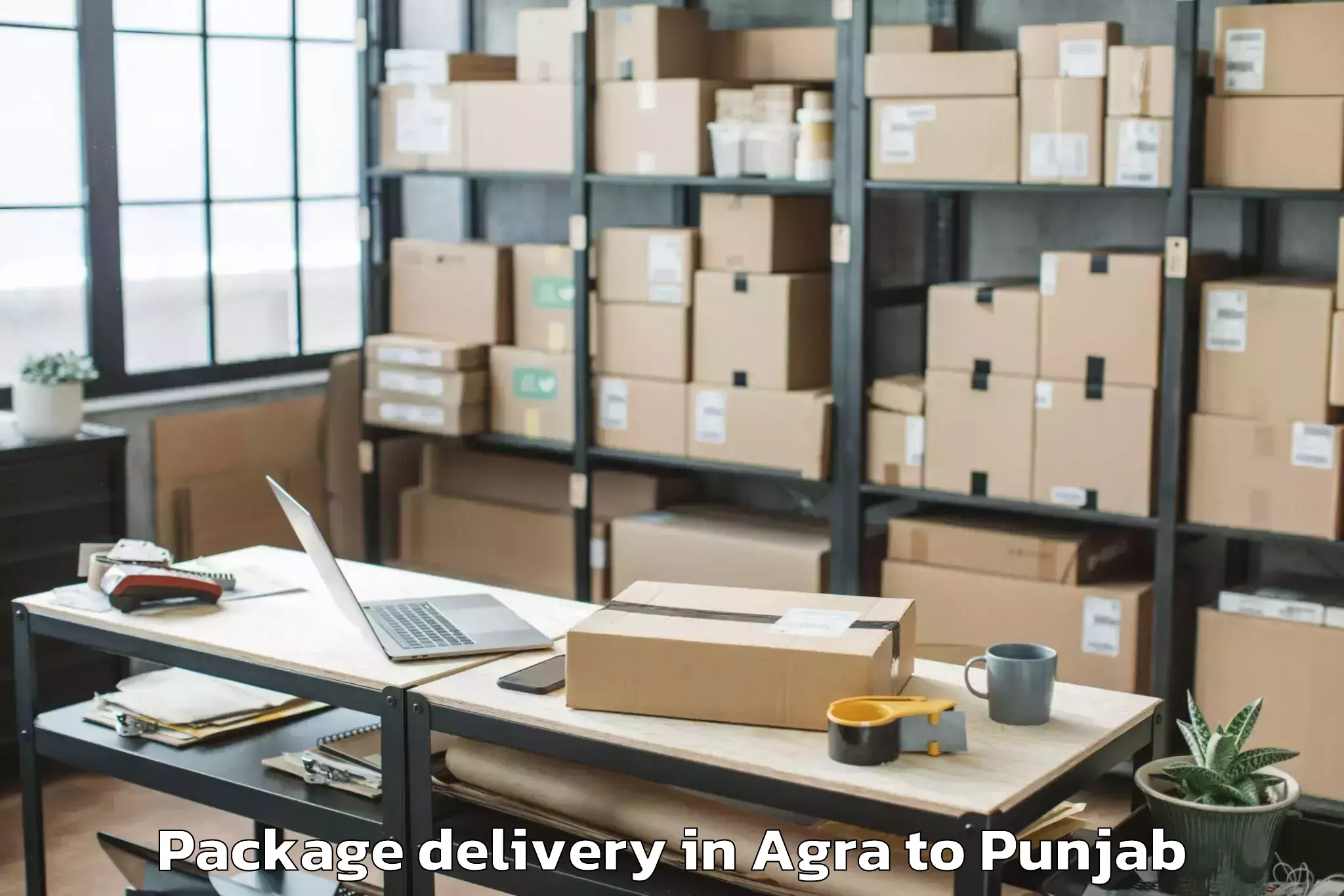 Reliable Agra to Gna University Phagwara Package Delivery